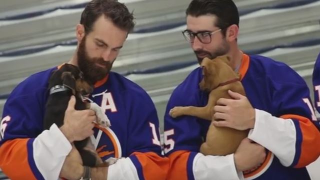 Islanders' photoshoot with puppies is absurdly adorable