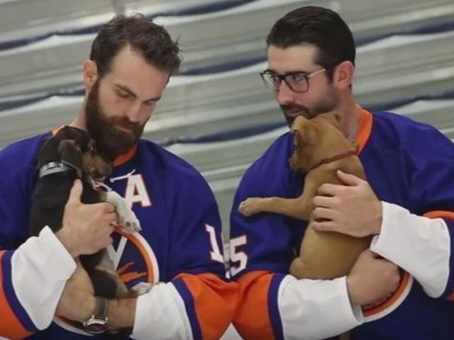 Islanders' photoshoot with puppies is absurdly adorable