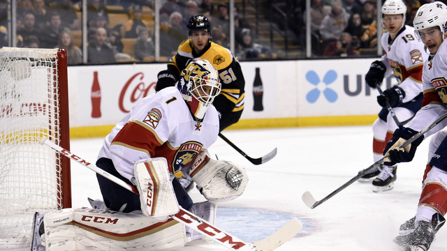 Fantasy Report Card - Florida Panthers