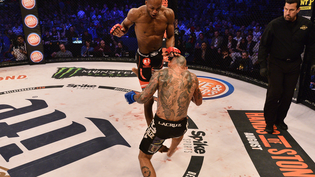 Watch: MMA's most devastating knockouts of 2016