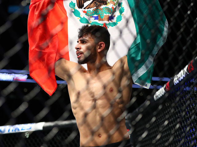 Rodriguez leads UFC Phoenix bonus winners after finishing Penn