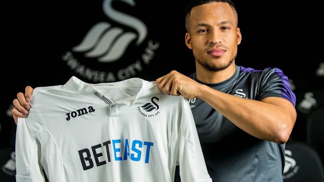 Swansea completes Olsson signing from Norwich