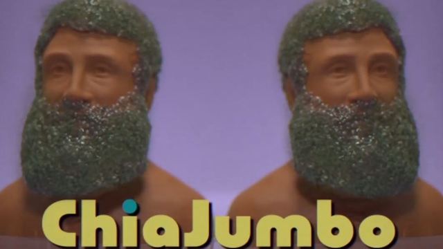 Sharks release vintage commercial for 'Chia Jumbo' Joe Thornton giveaway