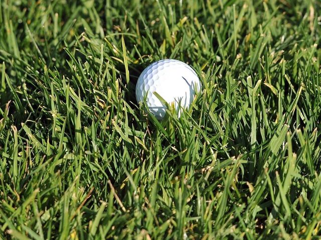 Report: Costco to bring back Kirkland golf ball
