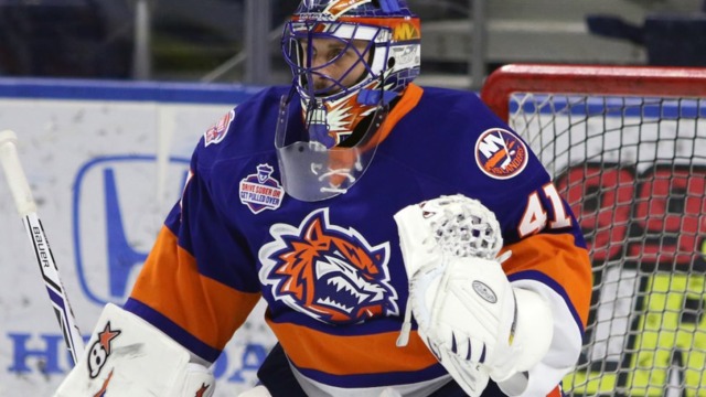 Halak impressing with Sound Tigers