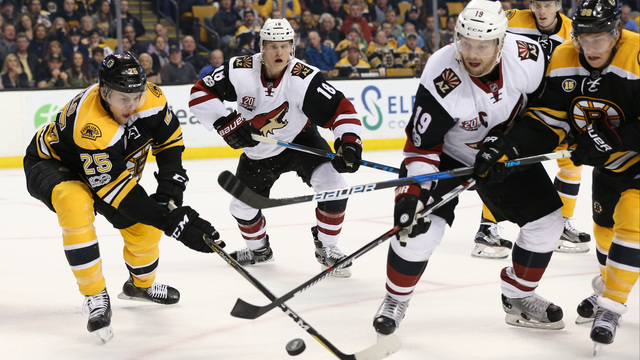 Tippett calls out Coyotes' lack of pride after Bruins loss
