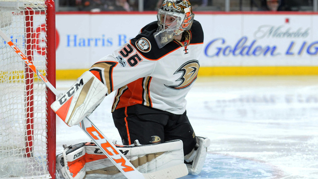 Ducks' Gibson will return before end of season