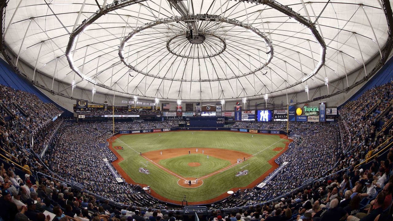 Tropicana Field Baseball Fan Tampa Bay Rays Drawing Tampa 