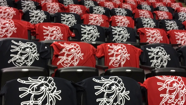 Raptors continue playoff tradition of questionable T-shirt designs