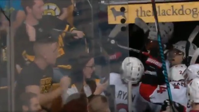 Watch: Bruins fan tries to steal Senators player's stick