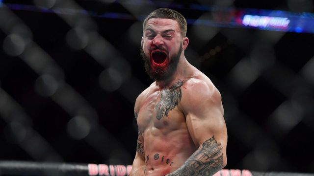 2017's best of MMA: The 10 most destructive knockouts