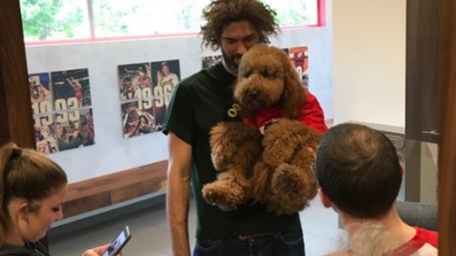 Lopez brings his dog to Bulls exit interviews