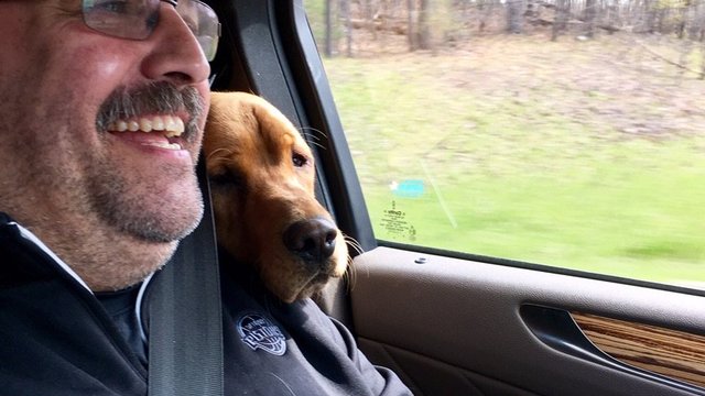 Watch: Van Gundy adopts last dog left at Michigan shelter