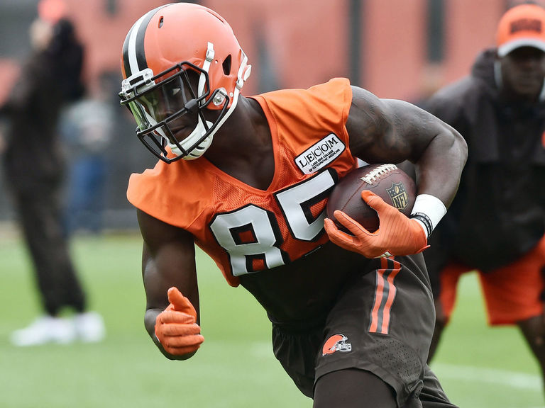 Watch: Browns Rookie Njoku Makes Diving One-handed TD Grab | TheScore.com