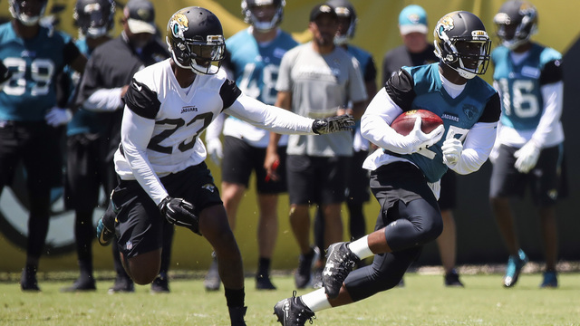 Fantasy: 2017 Rankings - Running Backs (Updated)