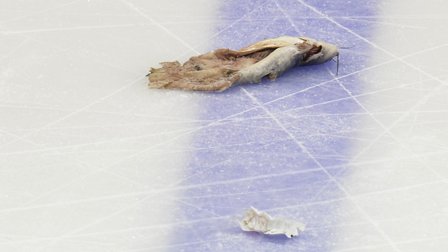 Predators fan reveals his elaborate plan to sneak catfish into Game 1