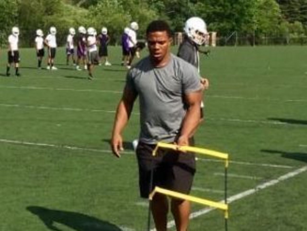 Report: Ray Rice hired as high school RB coach in New Jersey