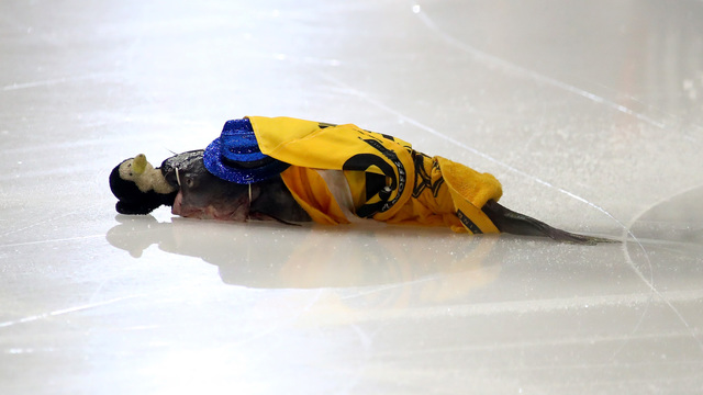Look: Catfish with toy penguin in mouth tossed on ice prior to Game 4