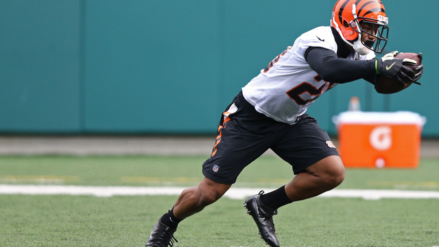 Lewis: Bengals spent 'a lot of time' researching Mixon prior to pick