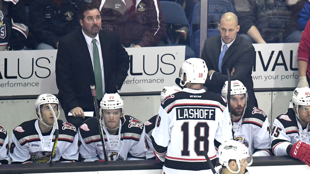 Todd Nelson believes he's out of running for Coyotes' head coaching job