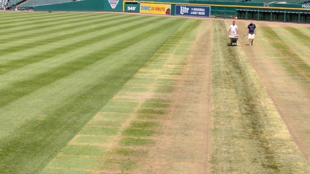 Comerica Park outfield in bad shape following Metallica concert