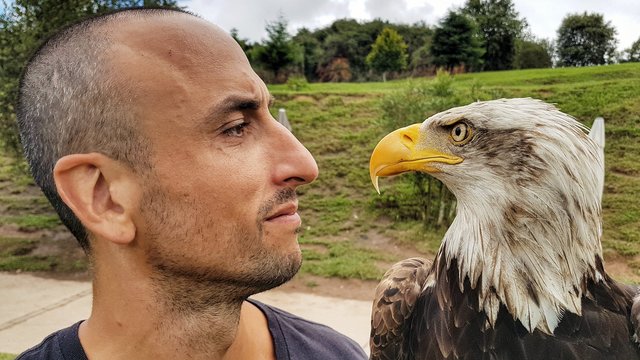 Look: Ginobili stares down bald eagle