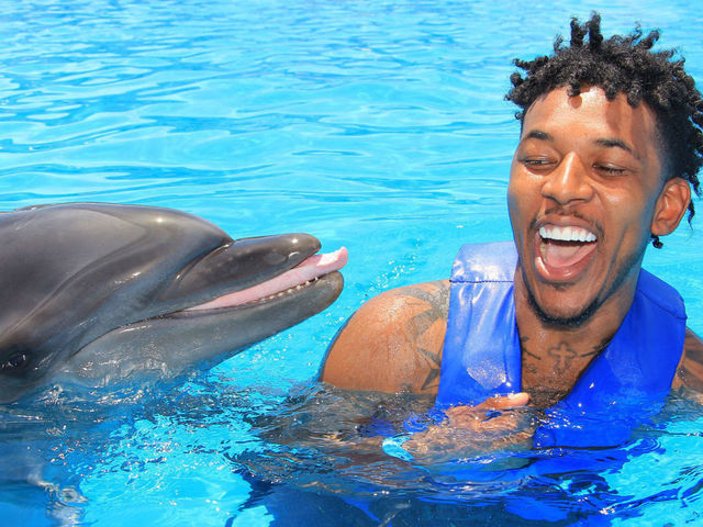 Nick Young no longer scared of dolphins