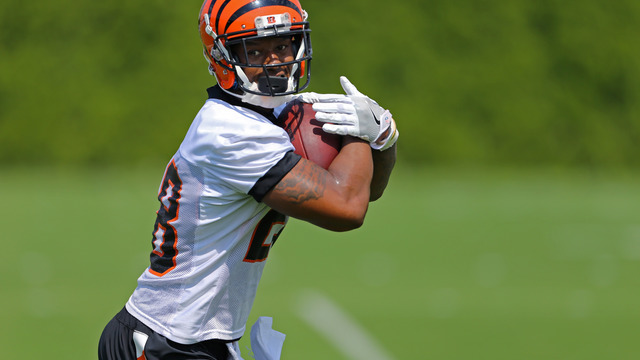 Fantasy: 2017 Rankings - Running Backs (PPR)
