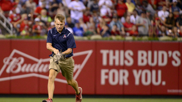 Watch: 'Rally Cat' interrupts Cardinals-Royals 1 pitch before Yadi's slam