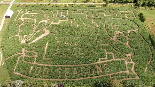 Look: Canadian farmers build corn maze of Leafs' Matthews, Marner