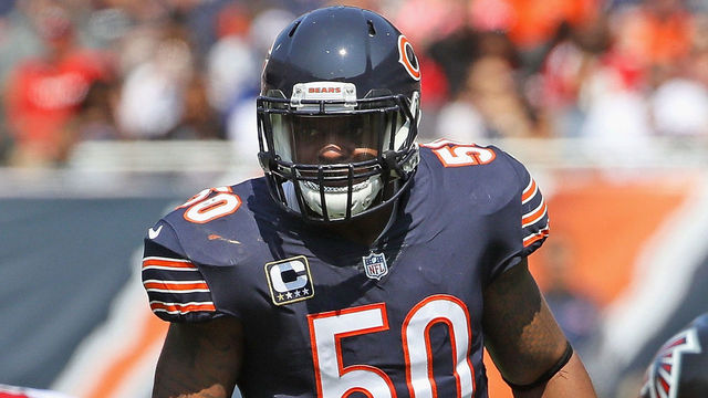 Report: Bears cut Jerrell Freeman