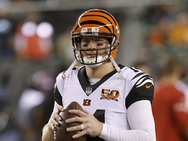 Bengals HC Lewis confirms Dalton's job security after loss to Texans