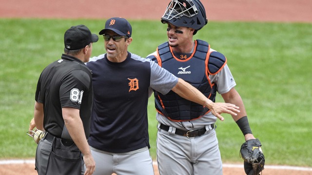 MLB concludes Tigers did not intentionally hit umpire with pitch