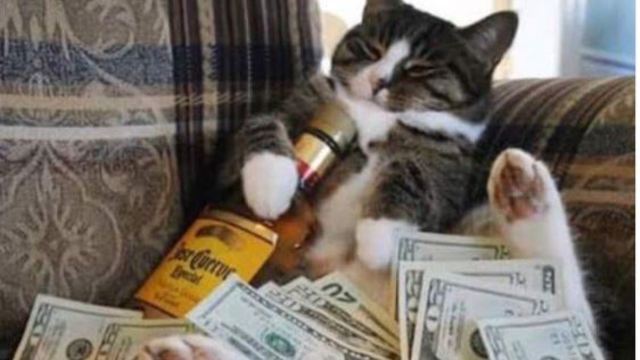 Jagr uses cat to hint at NHL opportunity