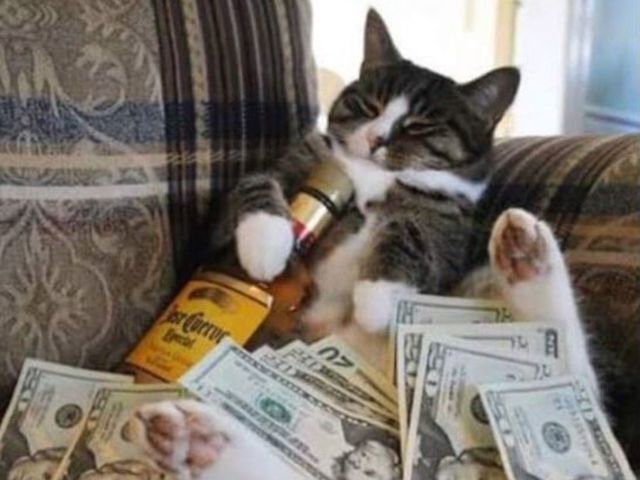 Jagr uses cat to hint at NHL opportunity