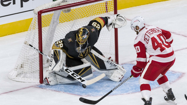Golden Knights' Fleury out with concussion