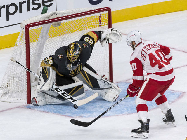 Golden Knights' Fleury out with concussion