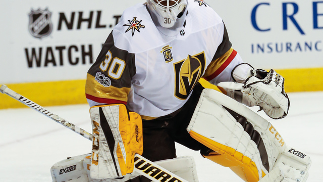 Who are the Golden Knights' options in net without Fleury?