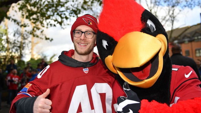 Cardinals, Coyotes fans lose hope, rebrand subreddits as animal pages