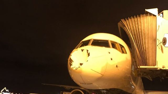 Thunder safe after plane damaged during flight; Delta blames bird