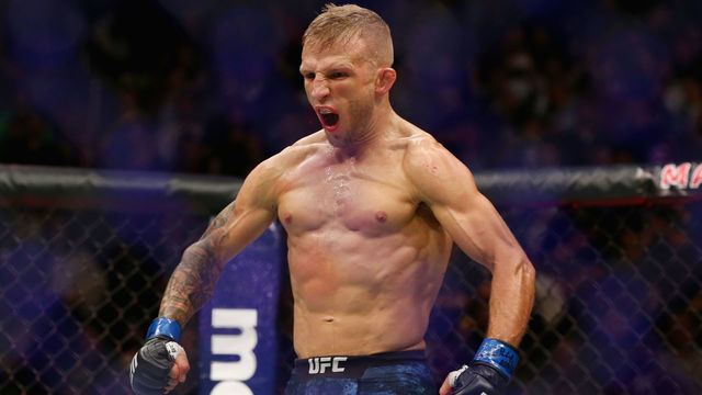 Dillashaw recaptures 135-lb title with 2nd-round knockout of Garbrandt