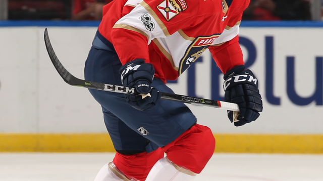 Panthers send Tippett back to OHL
