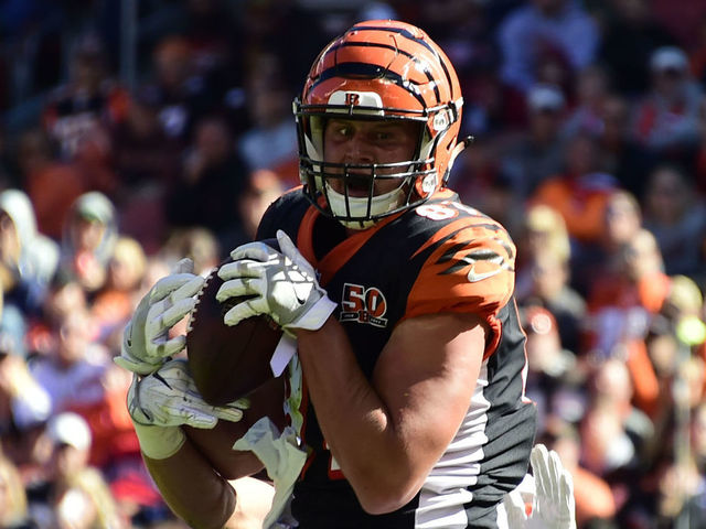 Fantasy: Week 12 Rankings - Tight Ends (PPR)