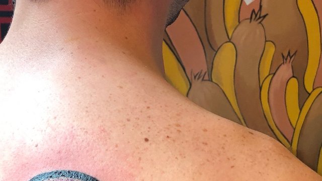 49ers fans get 0-16 tattoos