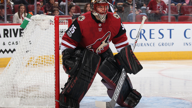Lightning acquire Domingue from Coyotes
