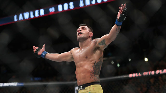 Which MMA fighter stood above the rest in 2017?