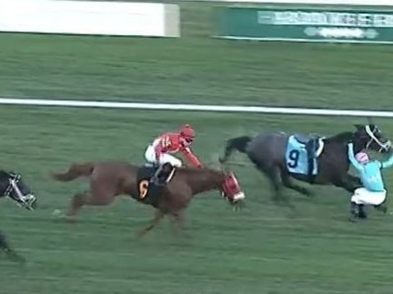 Jockey falls off horse just before finish line, costs bettor 571K