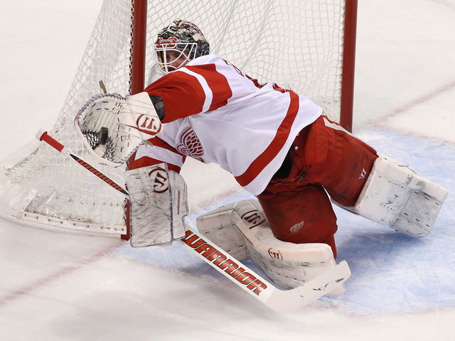 Gustavsson 'never got in a rhythm' with Red Wings, hopes to play 10 more years