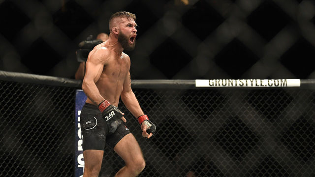 Did illegal blows lead to Stephens' KO of Emmett at UFC Orlando?