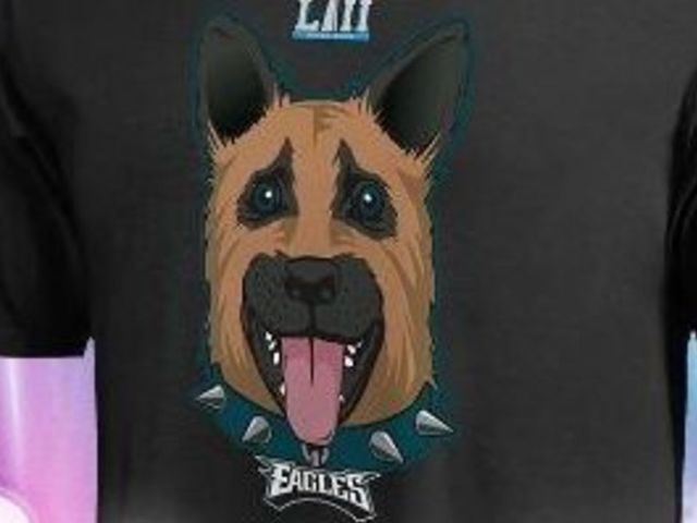NFL to donate all proceeds from Eagles underdog T-shirt sales to Philly school fund